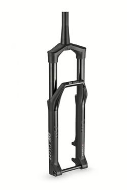 Vidlice DT Swiss F535 One 29