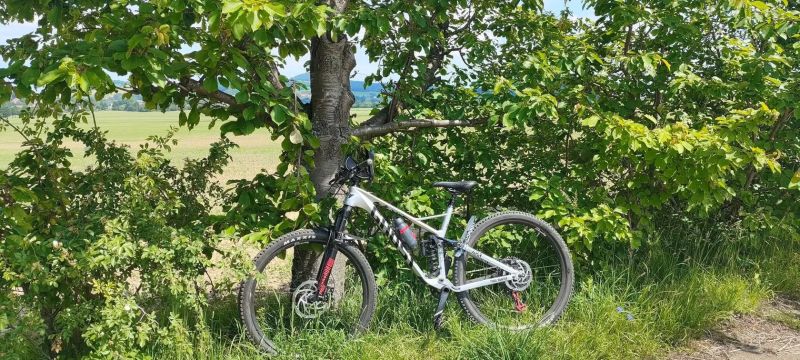 Ghost SLAMR 9.9 LC iridium silver/night black