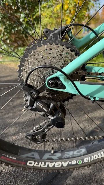 Canyon Grand Canyon:ON WMN 8.0