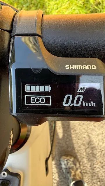 Canyon Grand Canyon:ON WMN 8.0