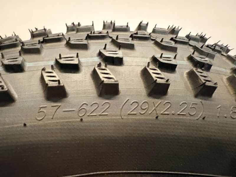 Schwalbe Racing Ray 29”x225