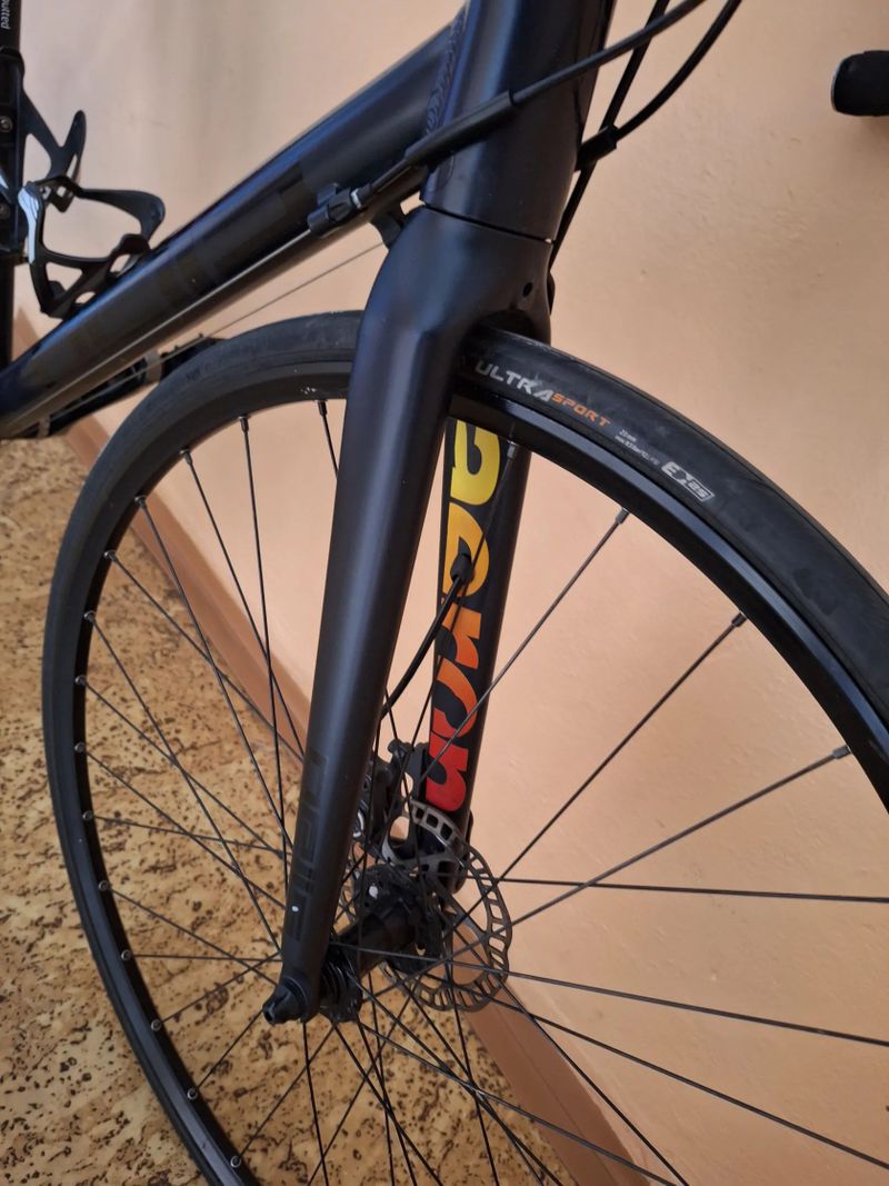 Pells Aeron disc 2017