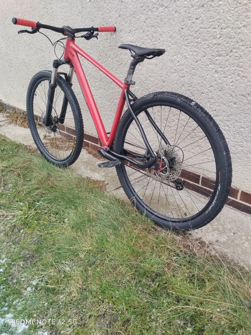 Leader Fox Leader Fox xc 29"