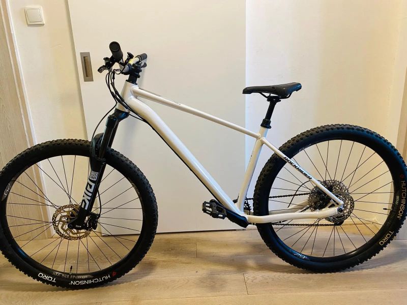 Rockrider All mountain 100 2024 L ×29''