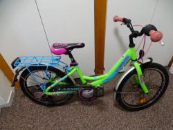 Leader Fox Lassie 20"