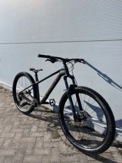 Trek Roscoe 7