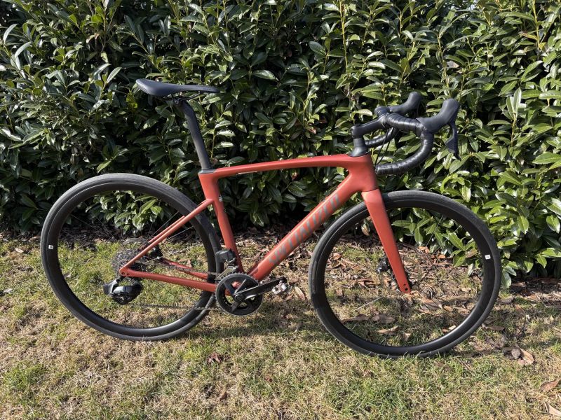 Specialized Specialized Roubaix SL8 Expert 2025