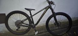 Trek Roscoe 7