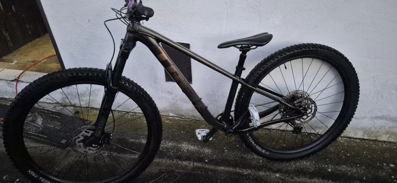Trek Roscoe 7