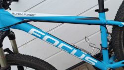 Focus Black Forest 27 LTD