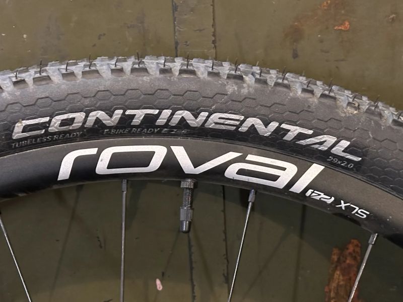 Continental Race King 29x2.0