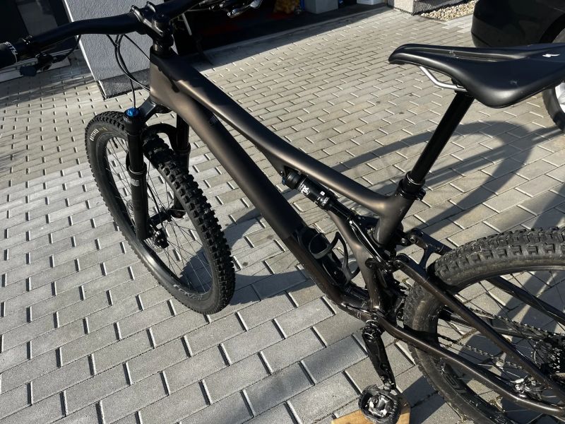 Specialized Stumpjumper expert