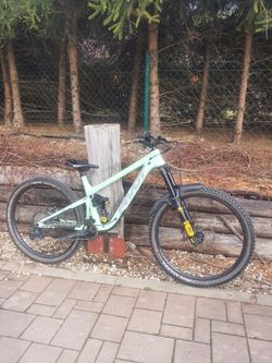 Pivot Cycles Firebird 2024