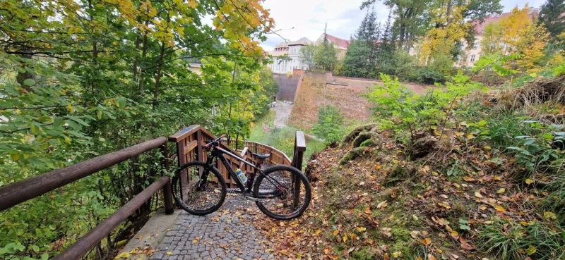 Polygon Cozmic Fox Transfer Cashima + 1×12 Eagle + Fox Transfer Cashima + DT Swiss + XTR 