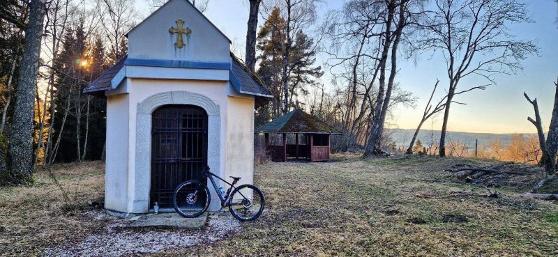 Polygon Cozmic Fox Transfer Cashima + 1×12 Eagle + Fox Transfer Cashima + DT Swiss + XTR 