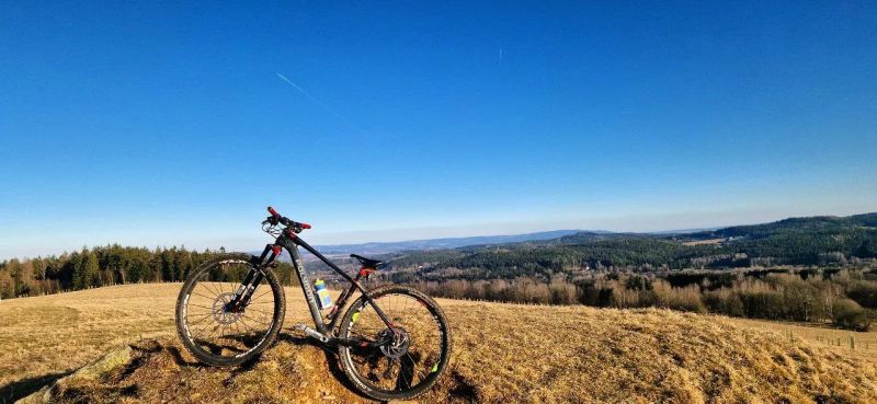 Polygon Cozmic Fox Transfer Cashima + 1×12 Eagle + Fox Transfer Cashima + DT Swiss + XTR 