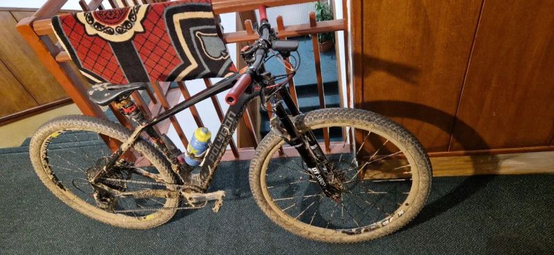 Polygon Cozmic Fox Transfer Cashima + 1×12 Eagle + Fox Transfer Cashima + DT Swiss + XTR 