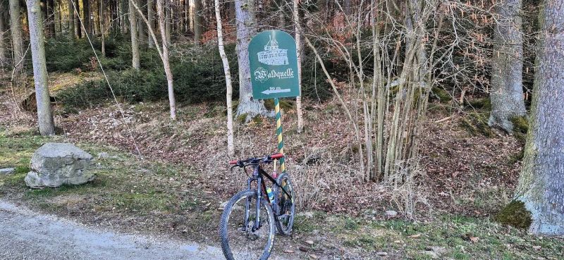 Polygon Cozmic Fox Transfer Cashima + 1×12 Eagle + Fox Transfer Cashima + DT Swiss + XTR 