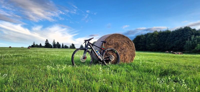 Polygon Cozmic Fox Transfer Cashima + 1×12 Eagle + Fox Transfer Cashima + DT Swiss + XTR 