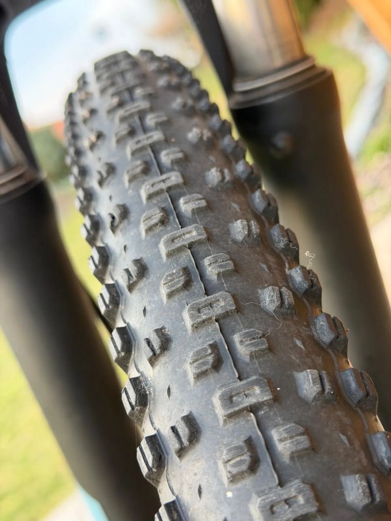 Rock Machine Torrent