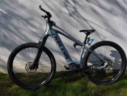 TAYEN R50 SKY BLUE 29" 725 Wh