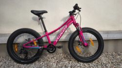 Specialized Riprock 20
