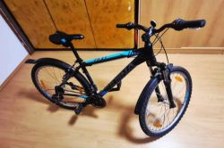 Kellys Alpine ECO M10