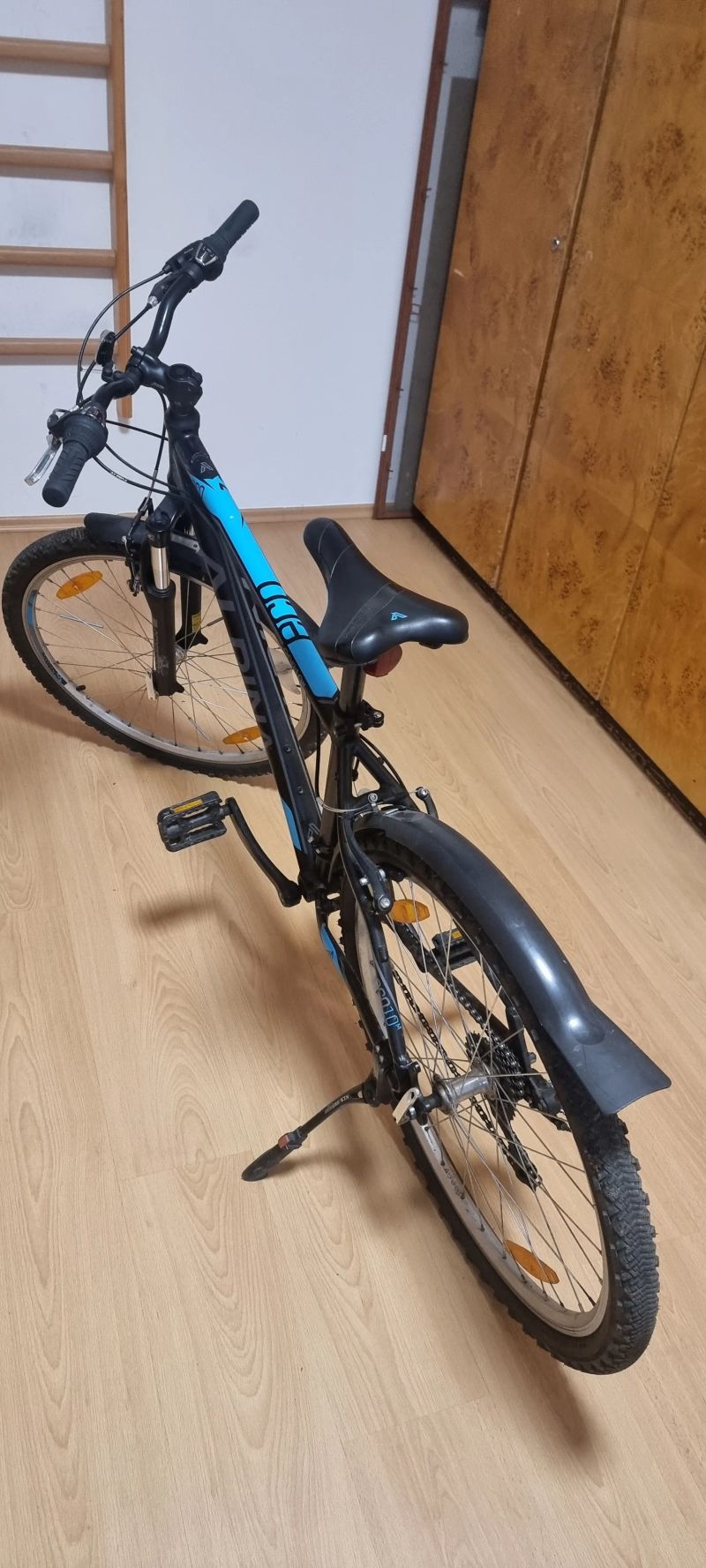 Kellys Alpine ECO M10