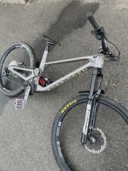 Forbidden Druid V1 L Mullet