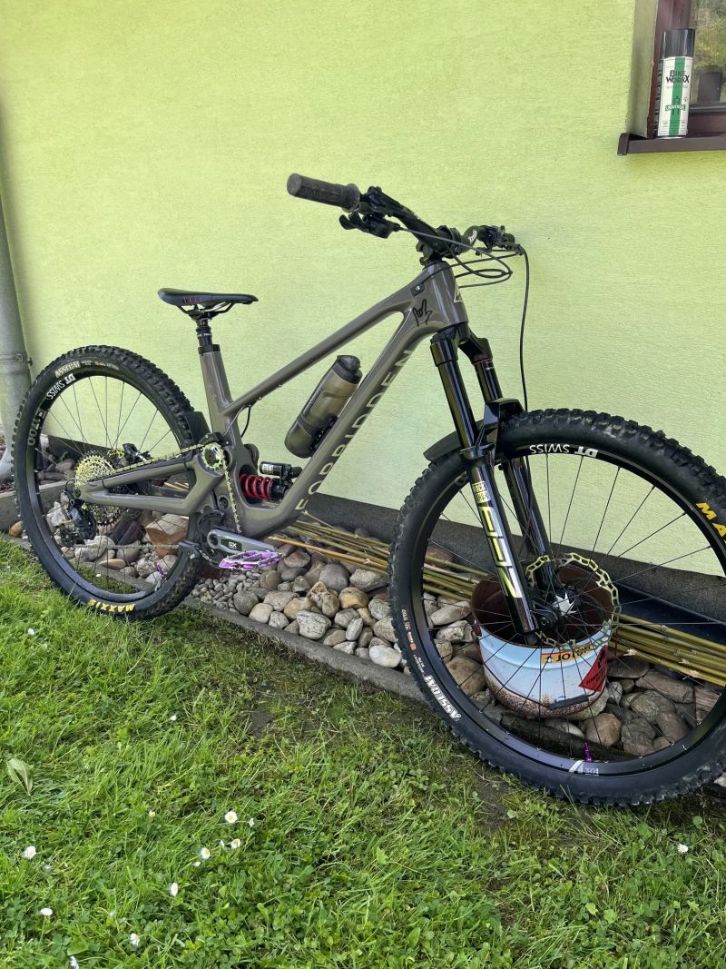 Forbidden Druid V1 L Mullet