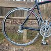 Šírer Ultimate na Campagnolo Veloce