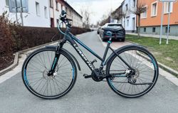 LEADER FOX STATE LADY