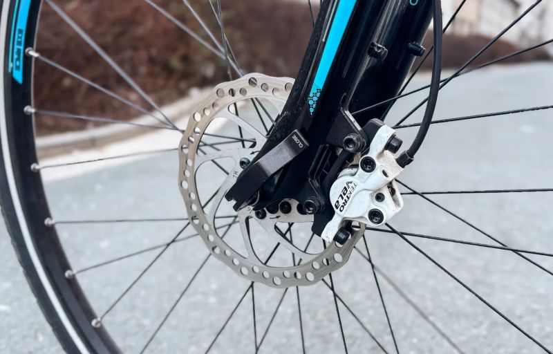 LEADER FOX STATE LADY