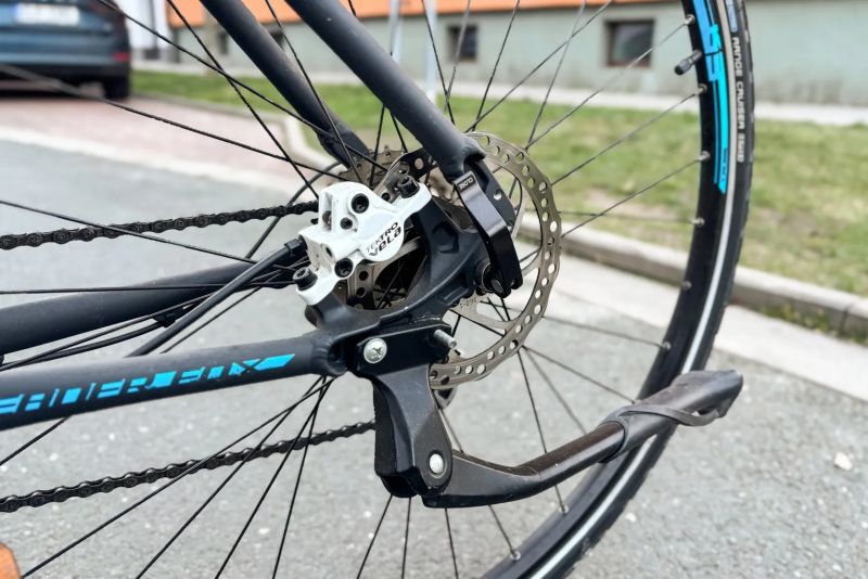 LEADER FOX STATE LADY