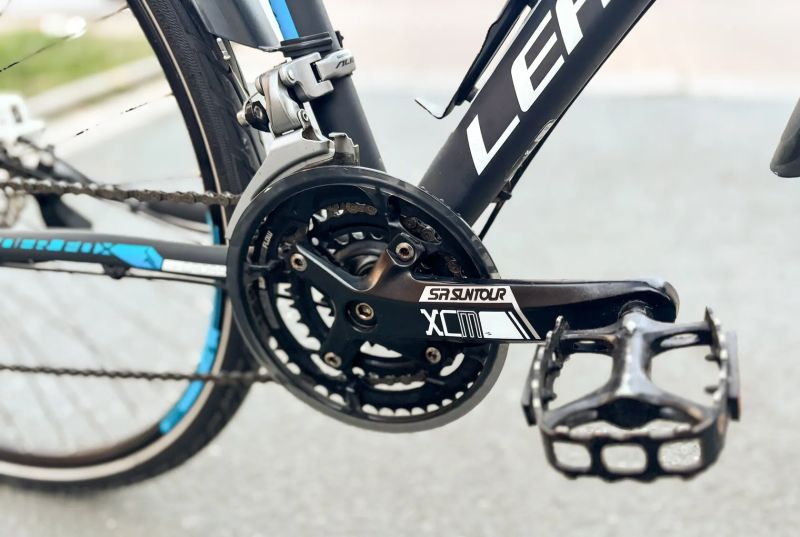 LEADER FOX STATE LADY