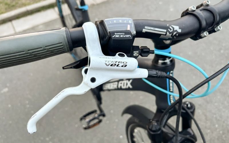 LEADER FOX STATE LADY