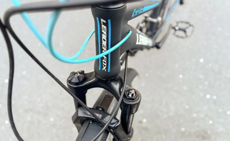 LEADER FOX STATE LADY