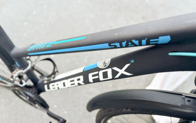 LEADER FOX STATE LADY