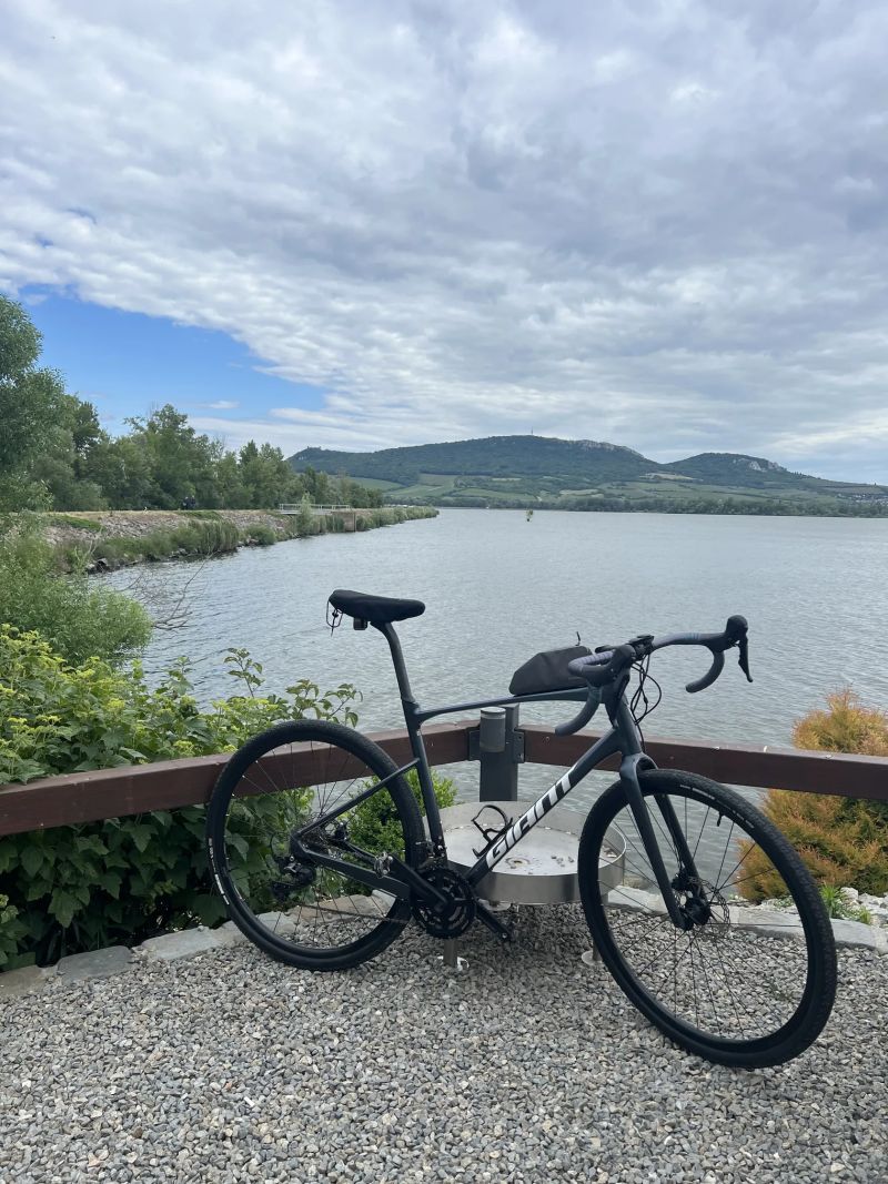 Giant Revolt 0 2024 Blue Dragonfly