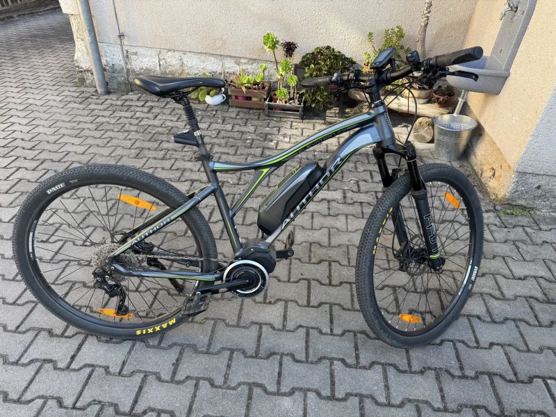 Author Elevation 29 2019