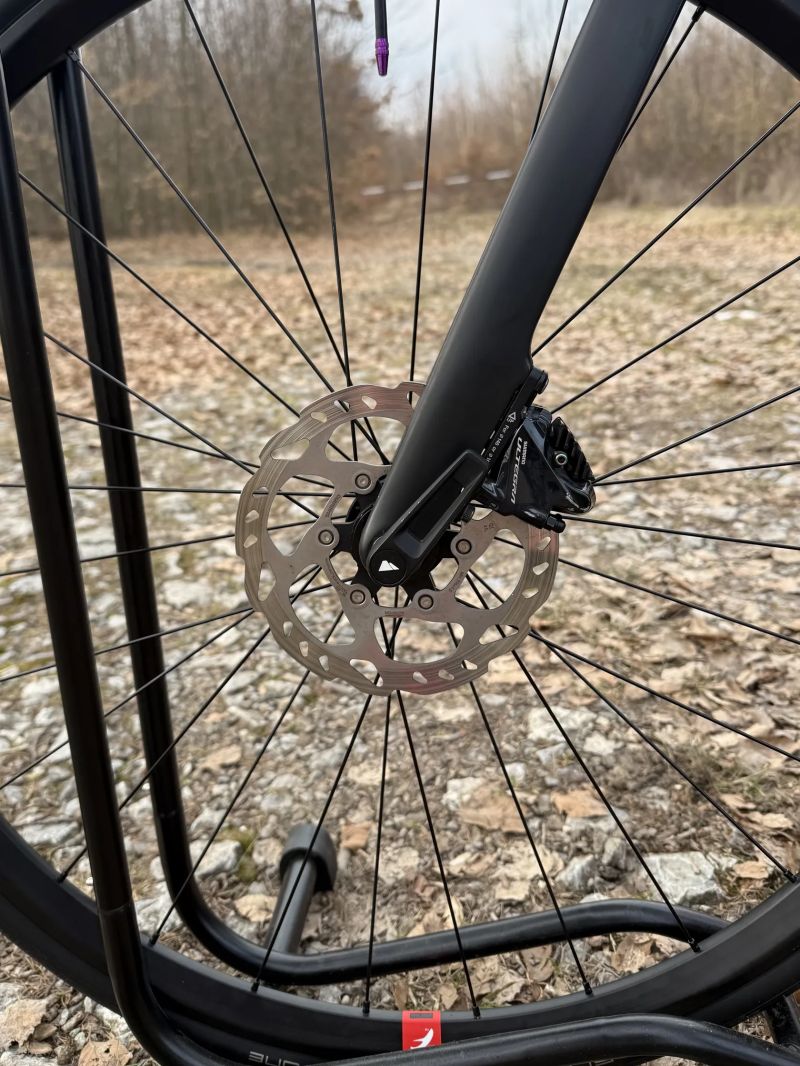 Canyon Endurace CF 8