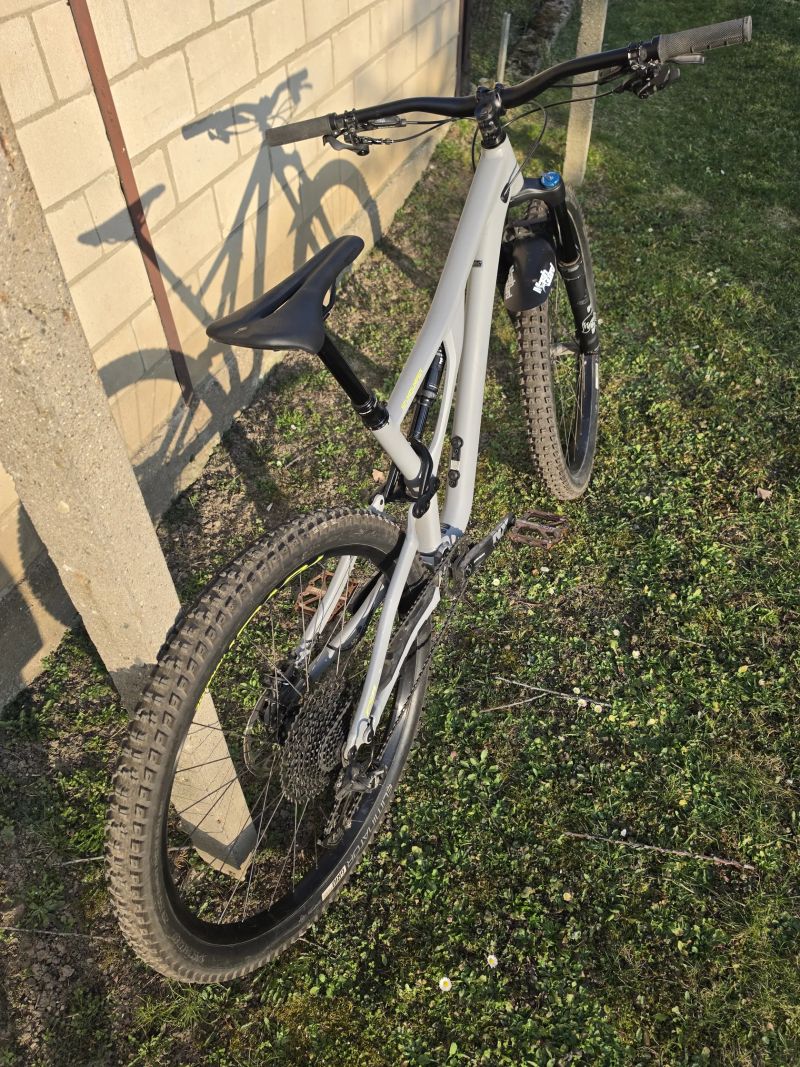 Specialized Stumpjumper Alloy Comp 2020