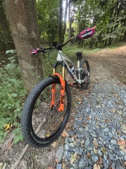 Sunn Kern Finest 2024