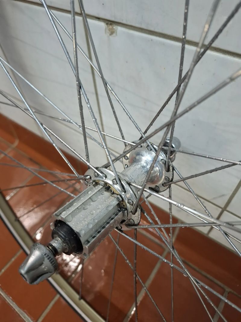 Campagnolo Daytona + kola