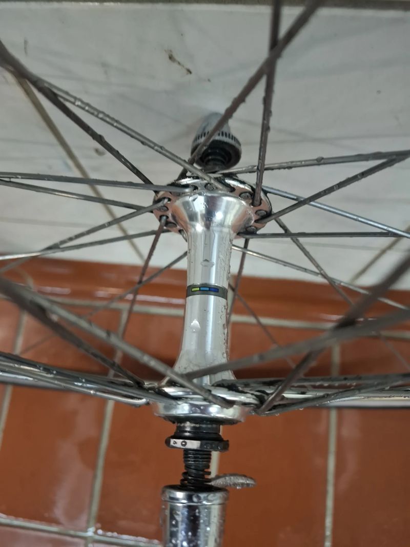 Campagnolo Daytona + kola