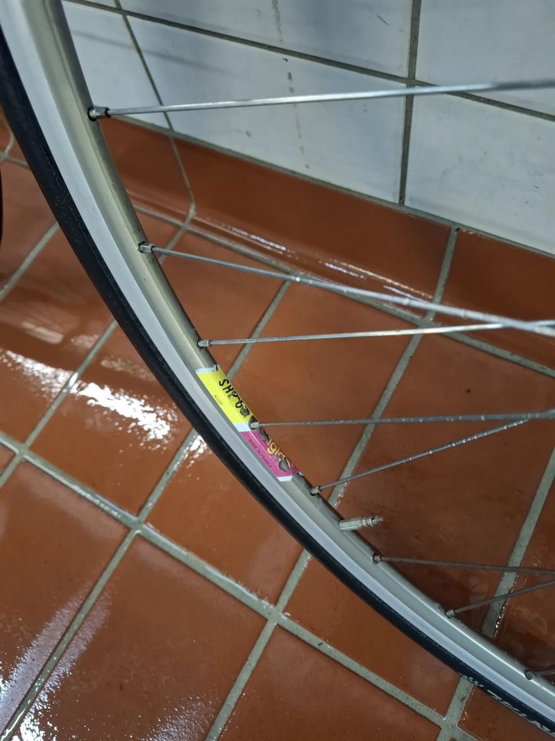 Campagnolo Daytona + kola