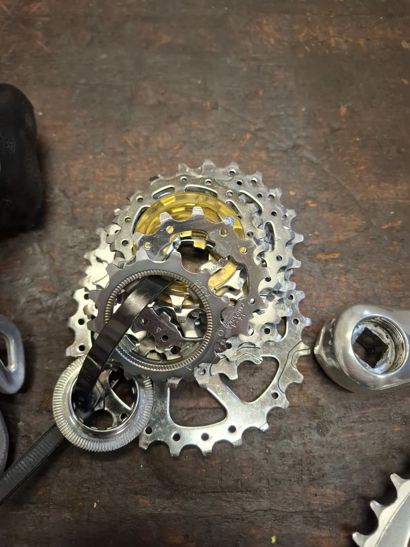 Campagnolo Daytona + kola