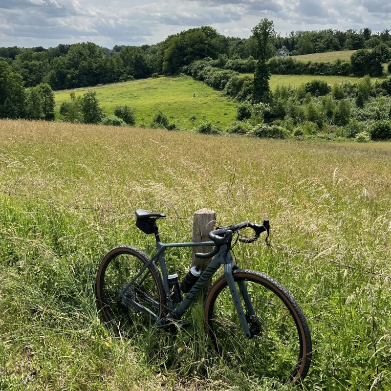 Canyon Grizl CF SL 8 1by EKAR