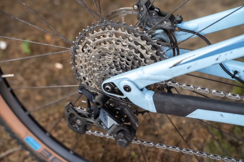 Canyon Neuron 6 2022