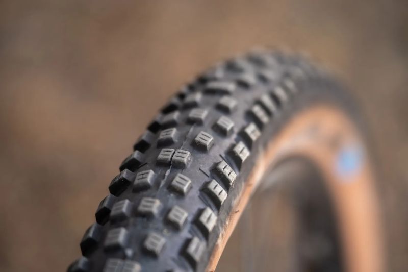 Canyon Neuron 6 2022